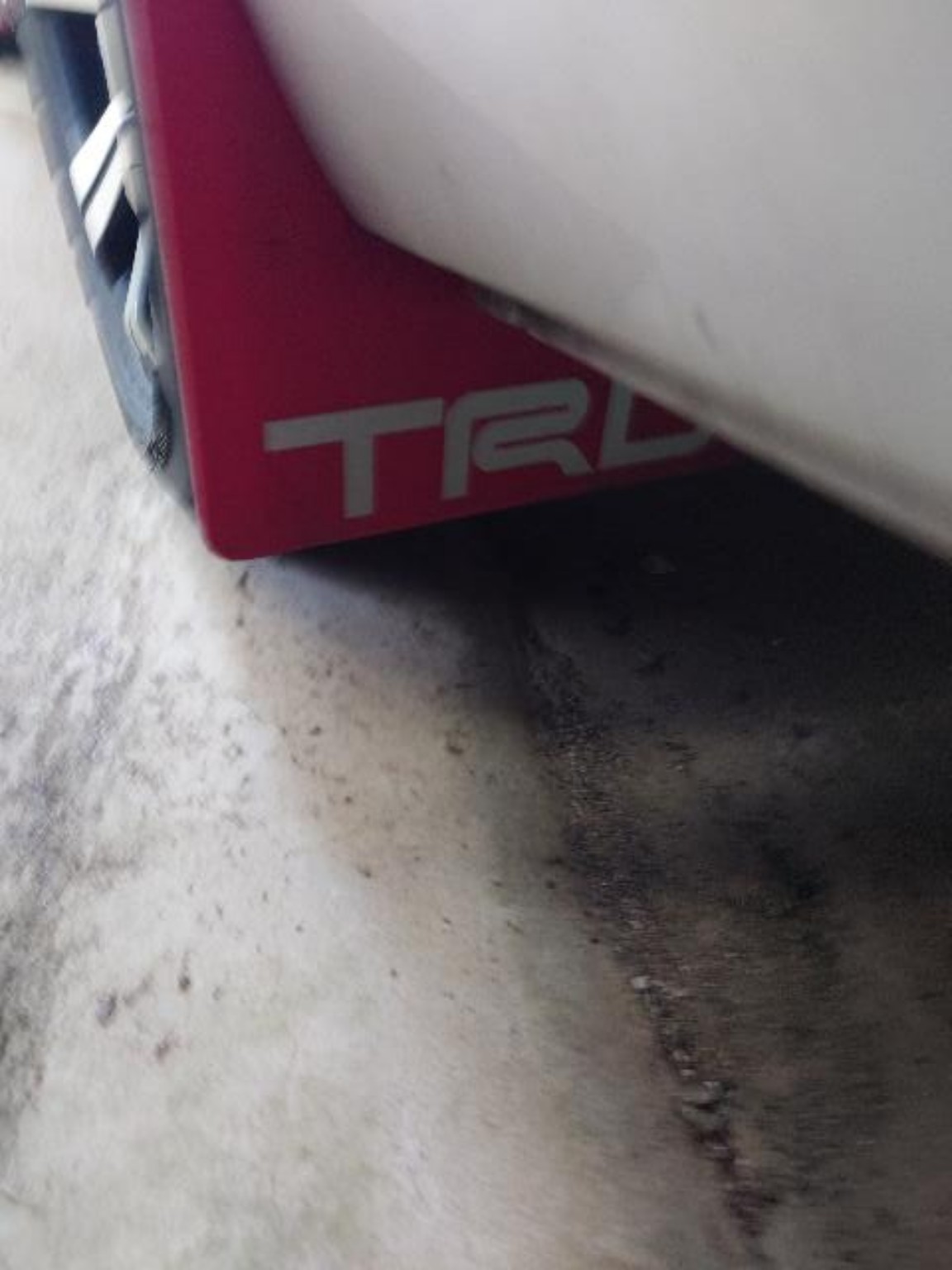 赤いマッドフラップに入ったTRDロゴのアップ